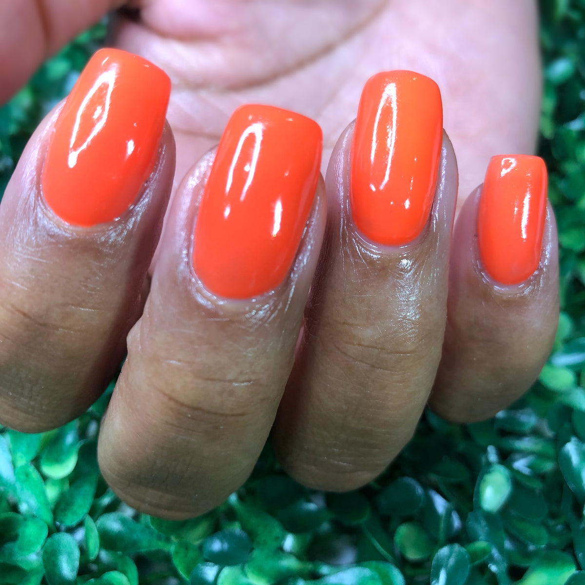 Check Out The Latest Collection Of Orange Nail Polishes From ILMP